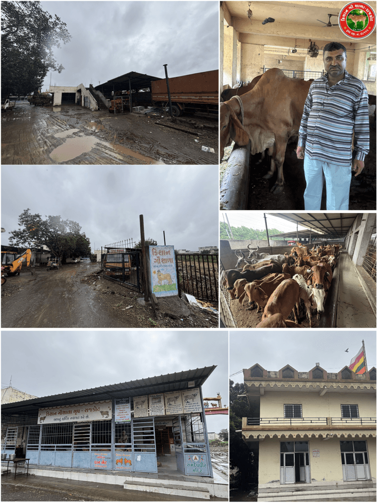 Kishan Gaushala Rajkot gauseva of 2300 gaumata and natural farming activities