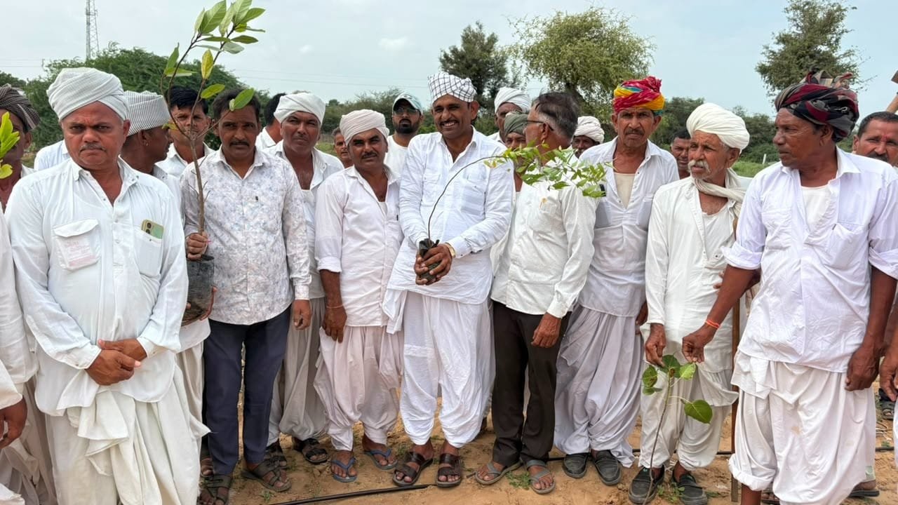 ખેંગારપુરા વૃક્ષારોપણ
