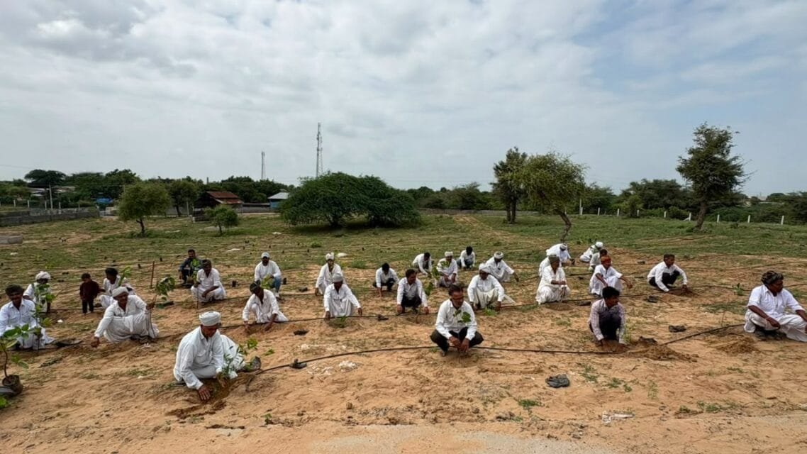 ખેંગારપુરા વૃક્ષારોપણ - 2